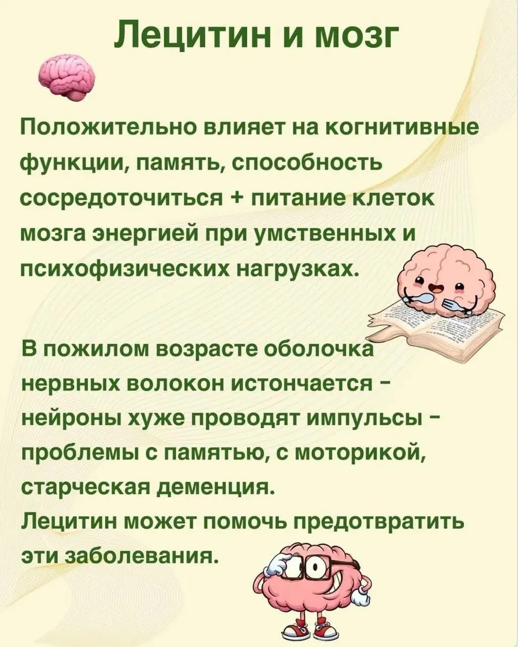 Лецитин для мозга